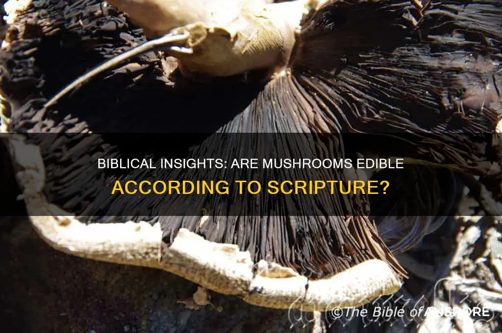 can you eat mushrooms according to the bible