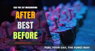Can You Eat Mushrooms After Best Before? Safety Tips Revealed