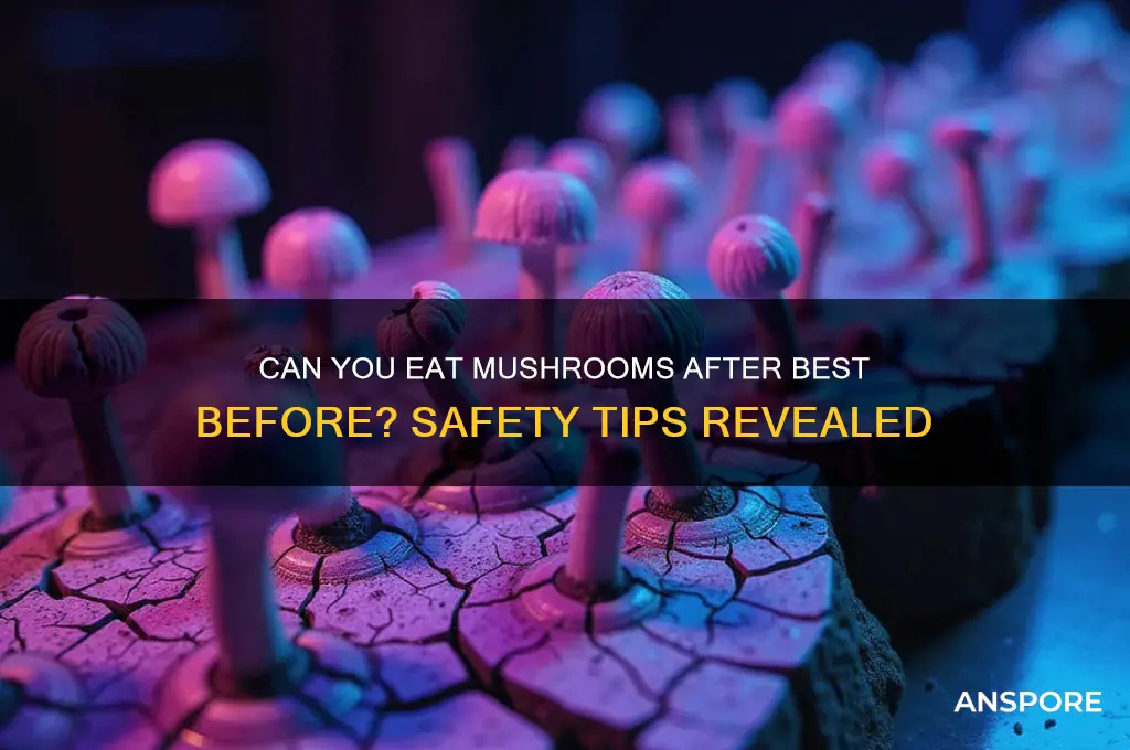 can you eat mushrooms after best before