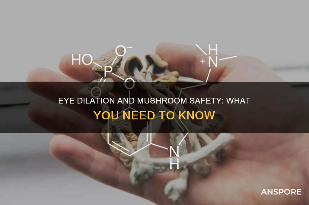 can you eat mushrooms after having eyes dilated