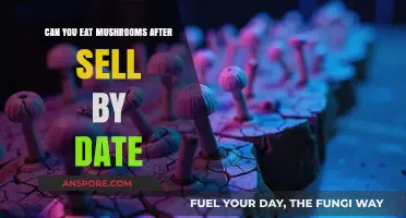 Can You Safely Eat Mushrooms After the Sell-By Date?