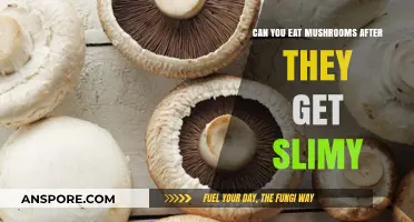 Are Slimy Mushrooms Safe to Eat? A Guide to Freshness