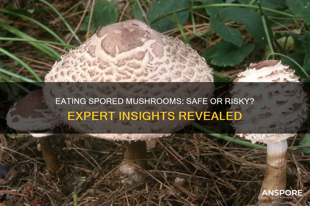 can you eat mushrooms after they spore