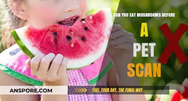 Can You Eat Mushrooms Before a PET Scan? Facts Revealed