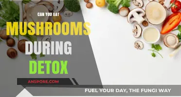 Mushrooms During Detox: Healthy Addition or Best Avoided?