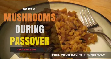 Can You Eat Mushrooms During Passover? Exploring Kashrut Rules