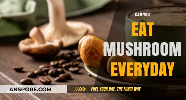 Daily Mushroom Consumption: Benefits, Risks, and Nutritional Insights