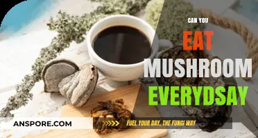 Daily Mushroom Consumption: Health Benefits or Hidden Risks?