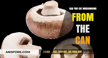 Can You Eat Canned Mushrooms? Safety, Nutrition, and Usage Tips