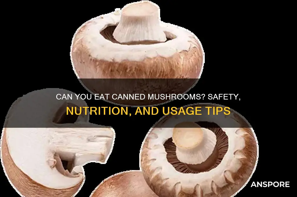can you eat mushrooms from the can