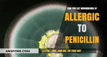 Mushrooms and Penicillin Allergies: Safe to Eat or Risky?