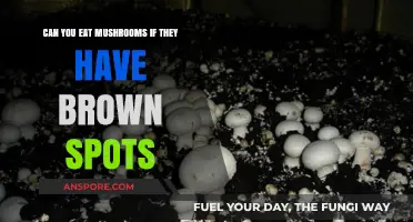 Brown Spots on Mushrooms: Safe to Eat or Toss Out?