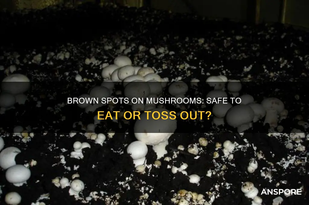 can you eat mushrooms if they have brown spots