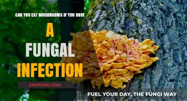 Eating Mushrooms with a Fungal Infection: Safe or Risky Choice?