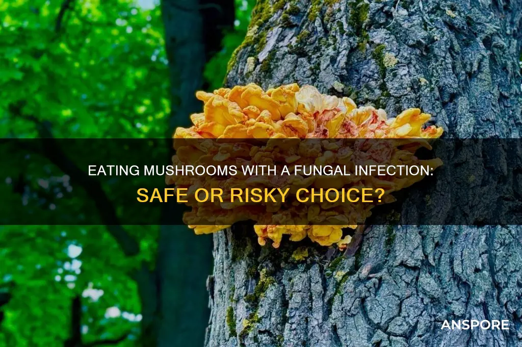 can you eat mushrooms if you have a fungal infection