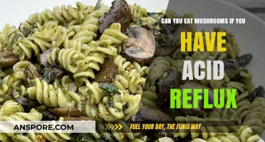 Mushrooms and Acid Reflux: Safe to Eat or Trigger Food?