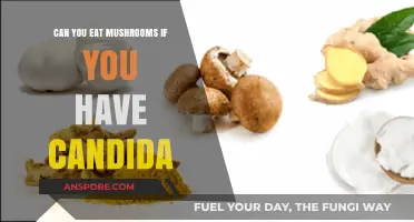 Can You Eat Mushrooms with Candida? A Dietary Guide