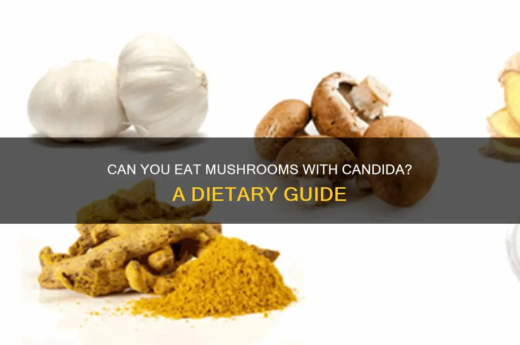 can you eat mushrooms if you have candida