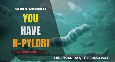 H. Pylori and Mushrooms: Safe to Eat or Risky Choice?