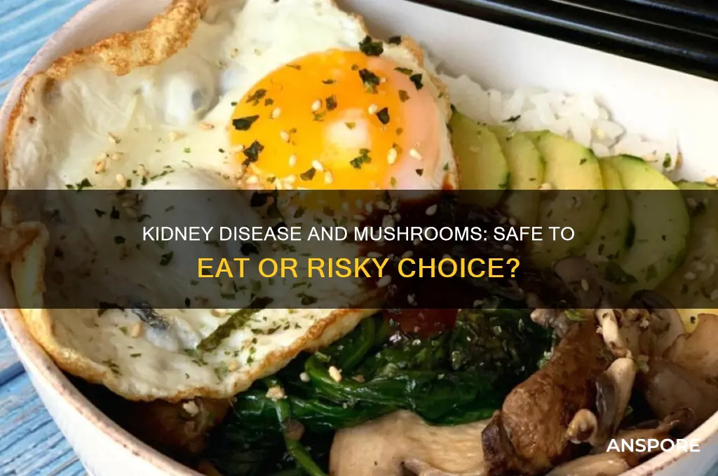 can you eat mushrooms if you have kidney disease