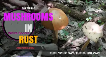Can You Eat Mushrooms in Rust? Survival Tips and Tricks