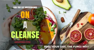 Mushrooms on a Cleanse: Healthy Addition or Detox No-Go?