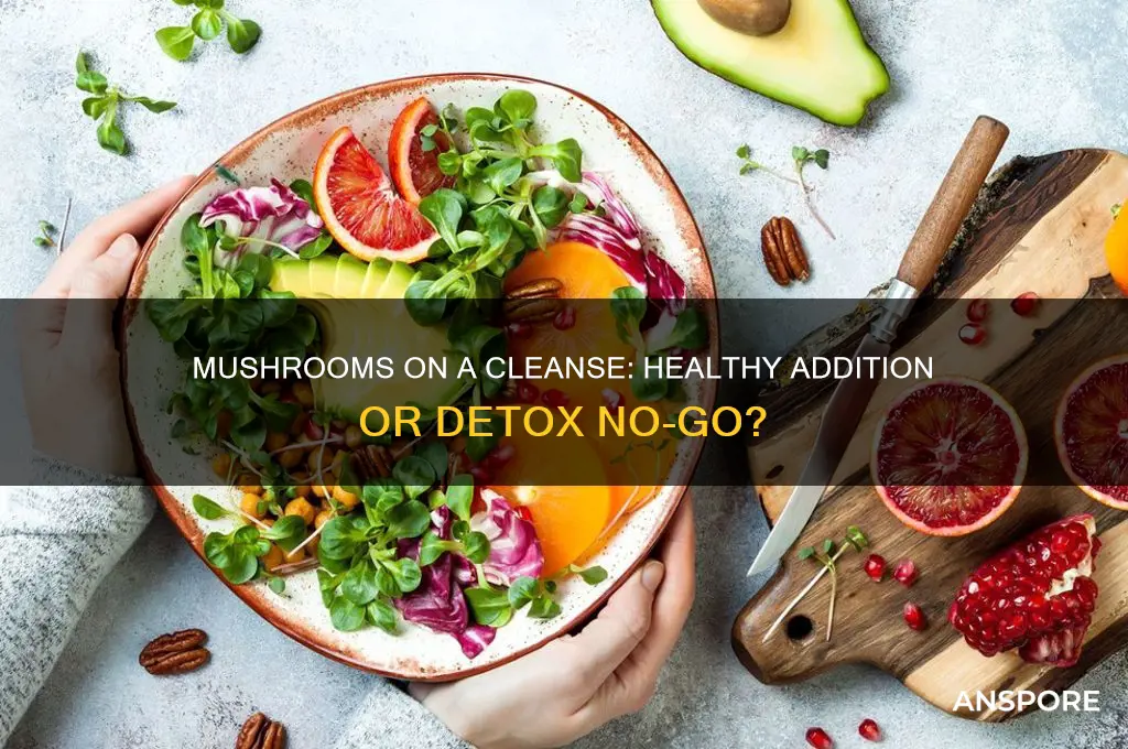 can you eat mushrooms on a cleanse