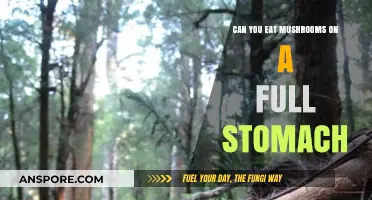 Can You Eat Mushrooms on a Full Stomach? Digestive Insights