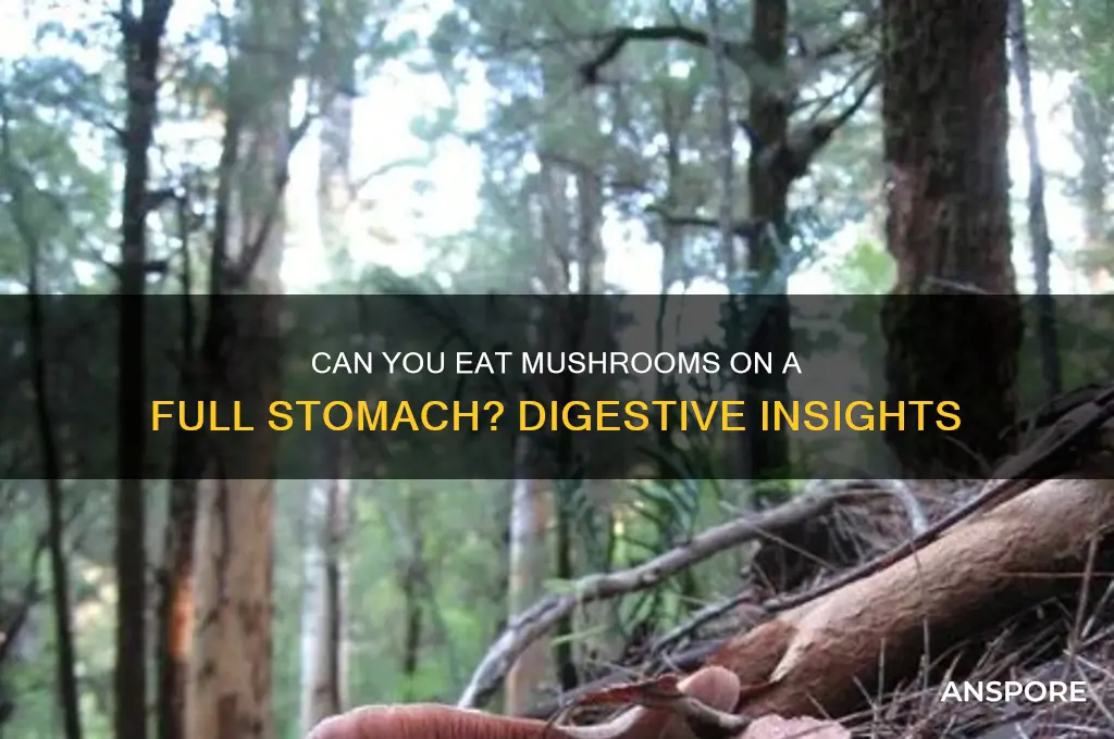 can you eat mushrooms on a full stomach