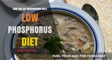 Low Phosphorus Diet: Are Mushrooms Safe to Eat?