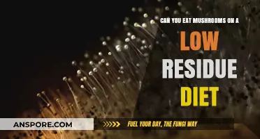 Mushrooms on a Low Residue Diet: Safe or Off-Limits?