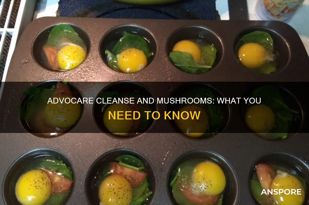 can you eat mushrooms on advocare cleanse