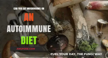 Mushrooms and Autoimmune Diets: Safe or Off-Limits for Healing?