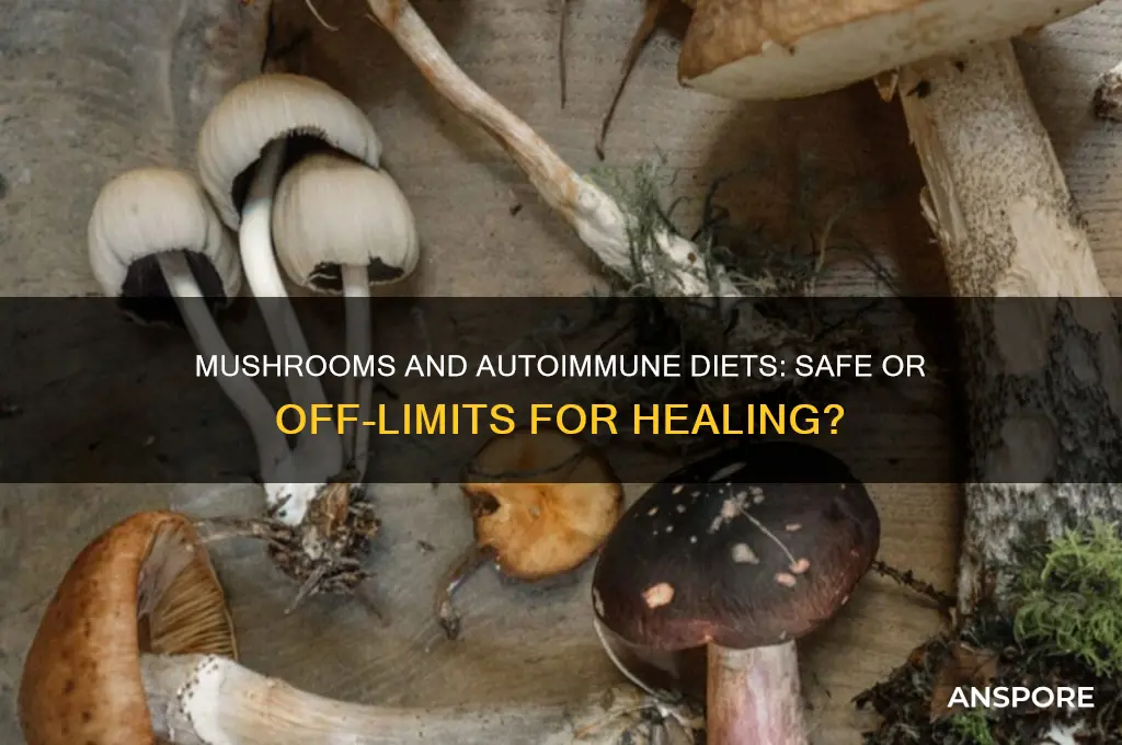 can you eat mushrooms on an autoimmune diet