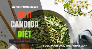 Mushrooms on Anti-Candida Diet: Are They Safe to Eat?