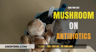 Mushrooms and Antibiotics: Safe to Eat or Risky Combination?