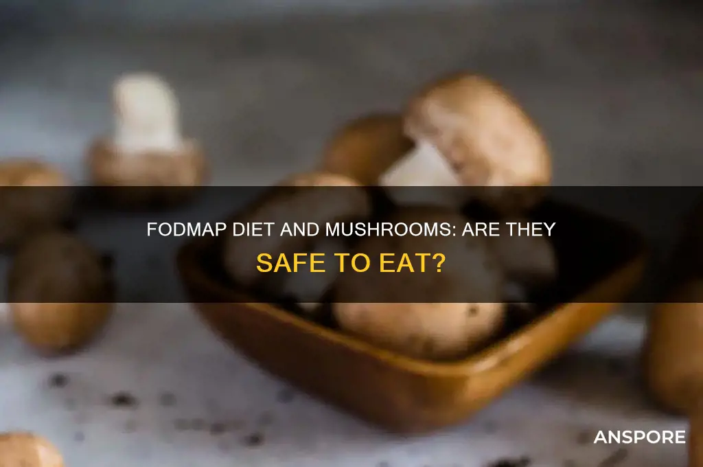 can you eat mushrooms on fodmap diet