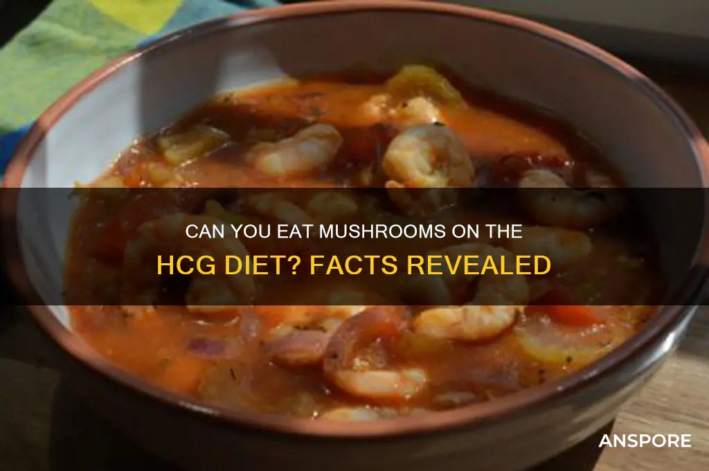 can you eat mushrooms on hcg diet
