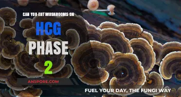 Can You Eat Mushrooms on HCG Phase 2? Diet Facts Revealed