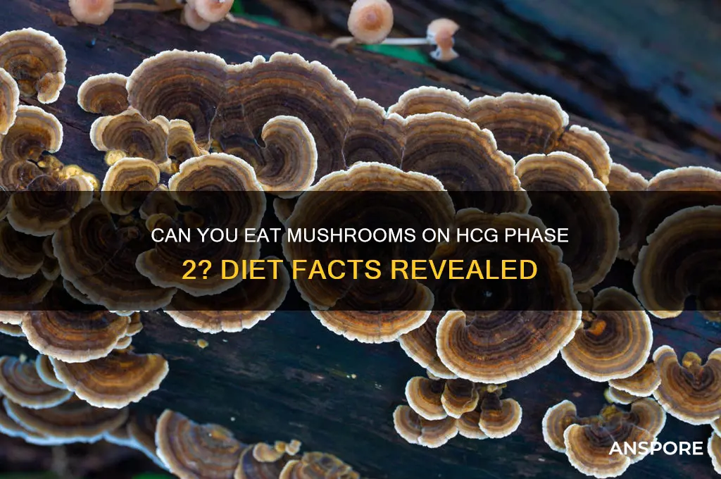 can you eat mushrooms on hcg phase 2