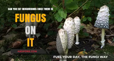 Fungus on Mushrooms: Safe to Eat or Toss Out?