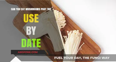 Eating Mushrooms Past Their Use-By Date: Safe or Risky?