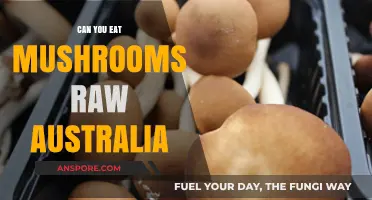 Eating Raw Mushrooms in Australia: Safe or Risky Choice?