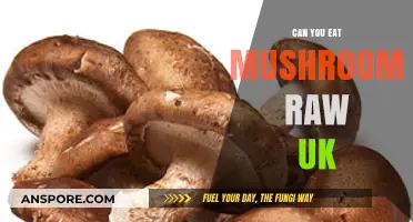 Can You Eat Mushrooms Raw in the UK? A Safety Guide