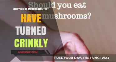 Crinkly Mushrooms: Safe to Eat or Toss? Expert Advice