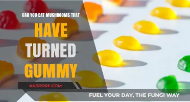 Gummy Mushrooms: Safe to Eat or Toss? Expert Advice