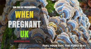 Pregnancy and Mushrooms: Safe to Eat in the UK?