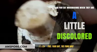 Discolored Mushrooms: Safe to Eat or Toss? Expert Advice