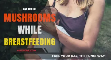Breastfeeding and Mushrooms: Safe or Risky for Nursing Moms?