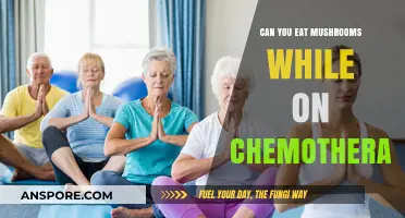 Mushrooms and Chemotherapy: Safe to Eat During Cancer Treatment?